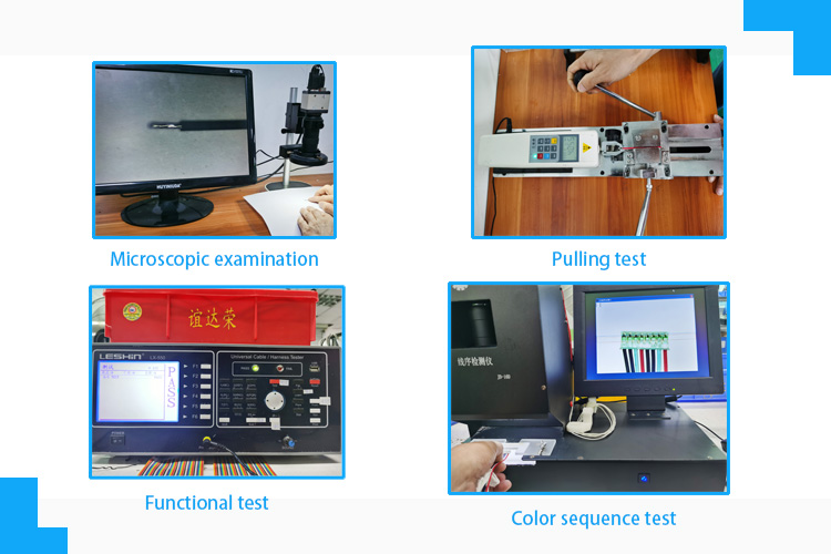 Quid est filum terminalis phaleris fidemque test?